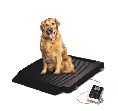 MTB Animal Scale for Weighing Small Pets - Inscale Scales