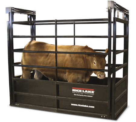 Cattle & Agricultural Livestock Weighing Systems Horse Weighbridge
