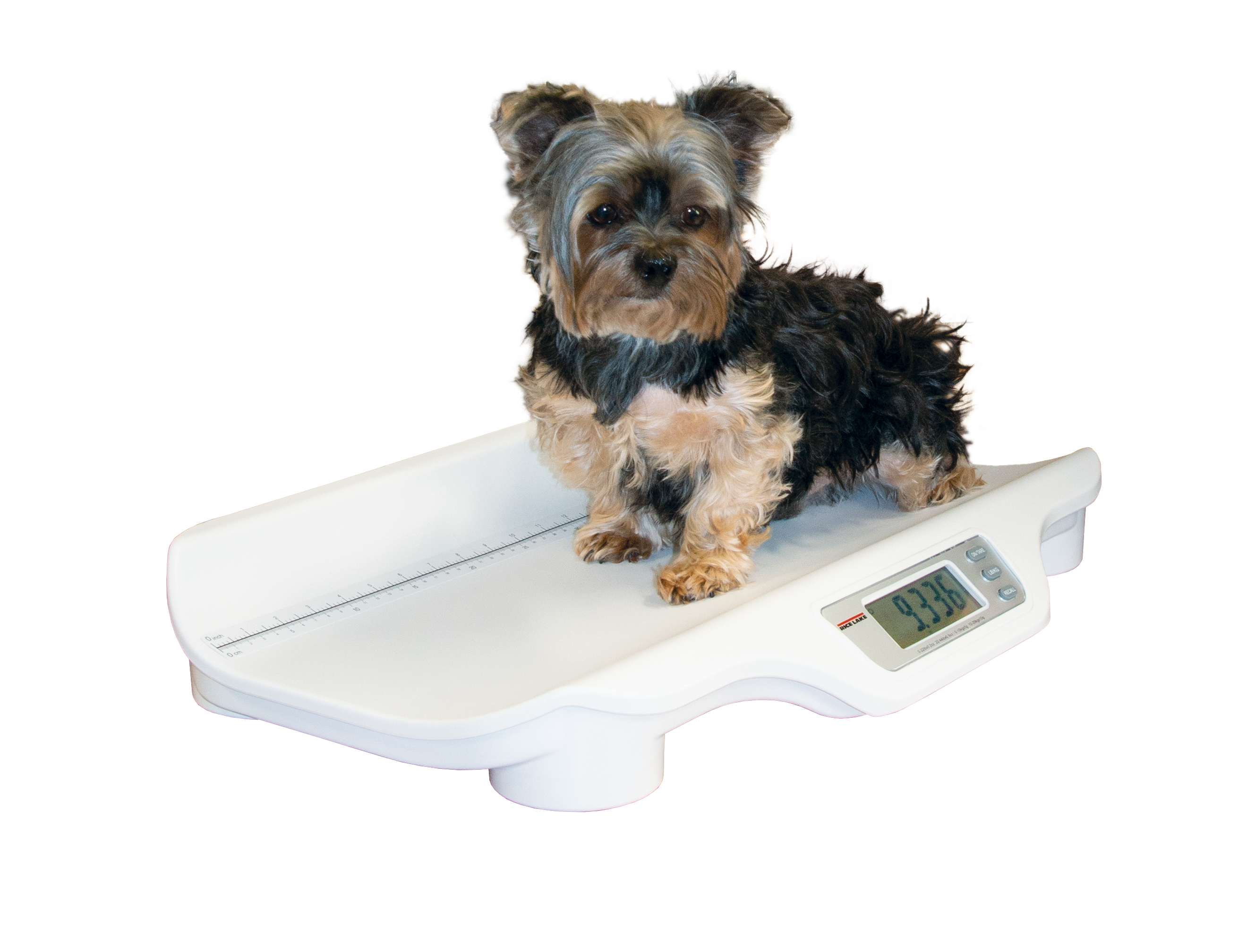 10kg Digital Pet Scale to Measure Weigh New Born Puppy Kitten White US